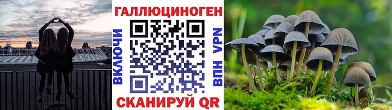 Псилоцибиновые грибы GOLDEN TEACHER  сколько стоит  Могоча 